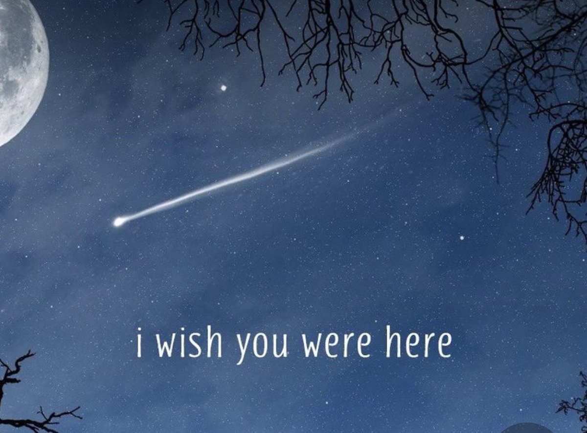 My dear friend, I miss us singing Christmas carols, I miss us dancing round. I miss you always ❤️❤️