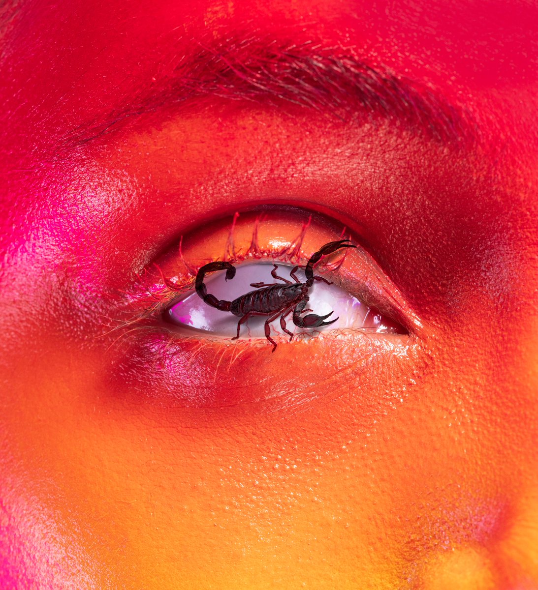 Fanny Papay tweet media