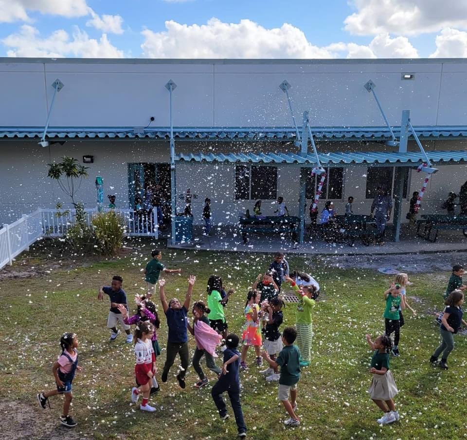 Today it snowed at Ippolito!