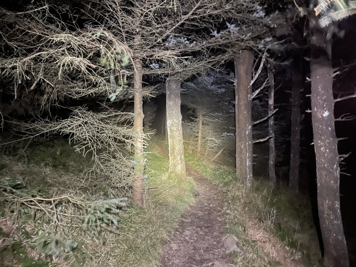 Loving the night runs up on the trails..tonight was a cloudless night with a bright moon 🌝 the sounds and the sights are completely different with the hustle and bustle of the city far below