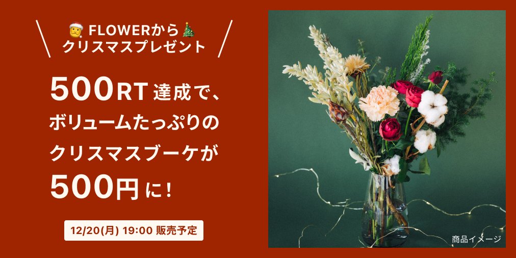 flowr_is's tweet photo. ＼ 🎄500RTでクリスマスブーケが500円に🌟 ／
FLOWERからのプレゼント🎁
クリスマスブーケがワン��インで買えちゃうかも🎅✨

1️⃣ @flowr_is をフォロー
2️⃣ この投稿を12/18までにRT
🎁 500RT達成 → 12/20 19時〜 特別価格500円でブーケを販売 https://t.co/W9yFIYHS6M