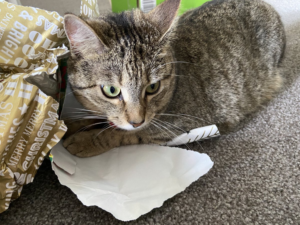 Jennifer Warner tweet media