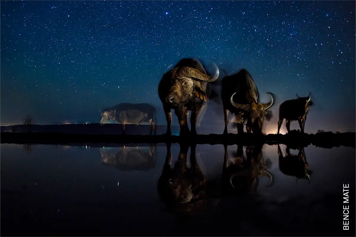 WorldPressPhoto tweet picture