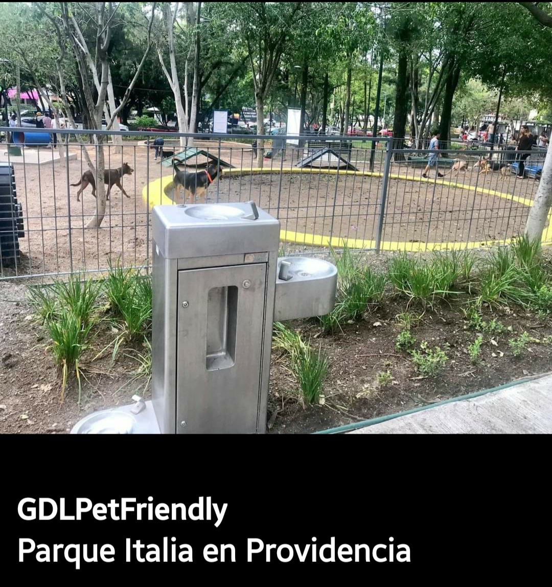 GdlPetfriendly's tweet photo. Parque Italia en Providencia https://t.co/LJX26ZVVfv