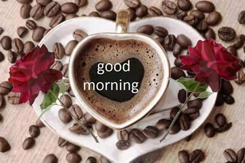 الباشا tweet media