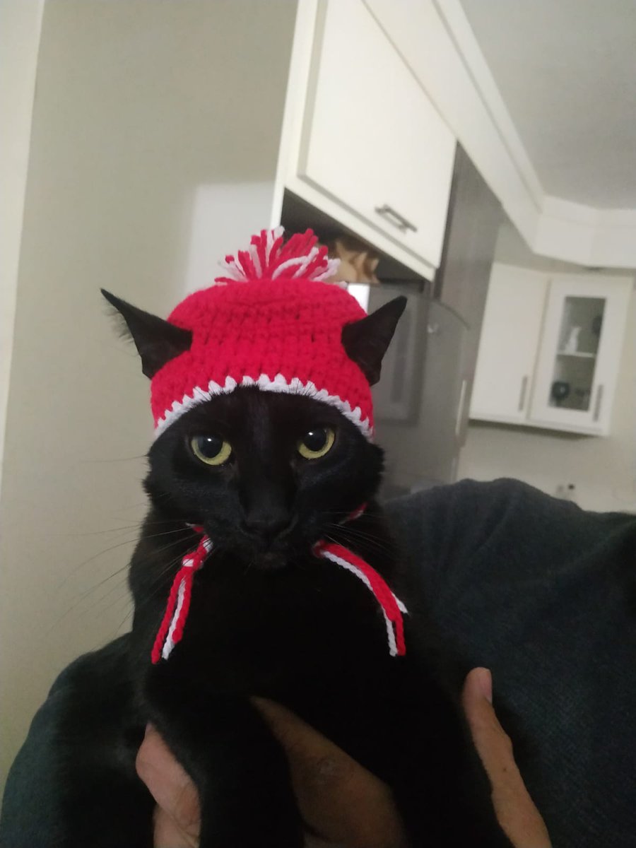 layco_82's tweet photo. Otra vez dejamos a Niconí con la abuela 🤣 https://t.co/EzYh1ioVlQ