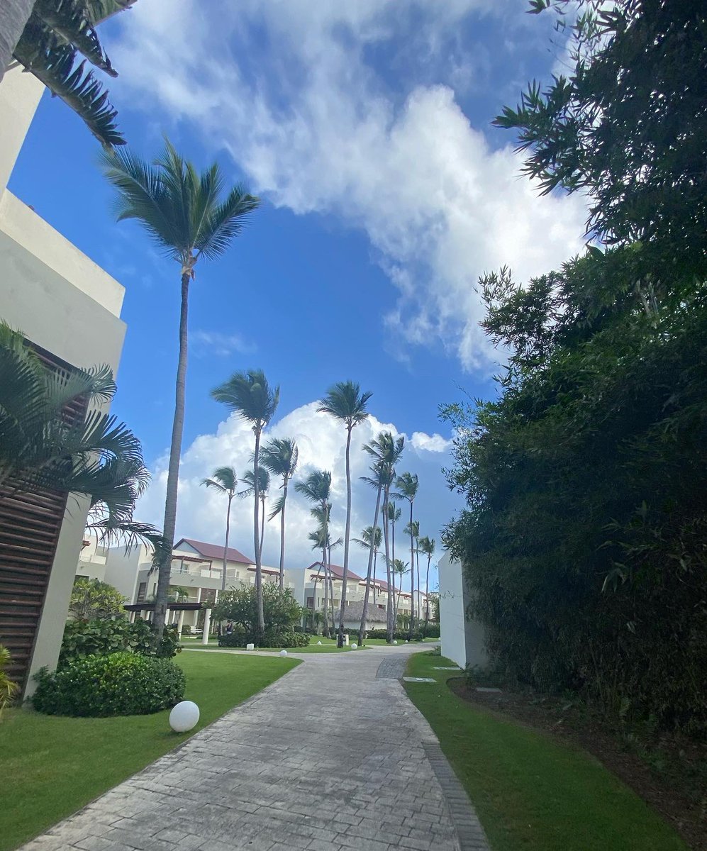 AwhDamnSwoleOff's tweet photo. #DestinationDavis ๐๐๐ https://t.co/IW2ZIAAXxe