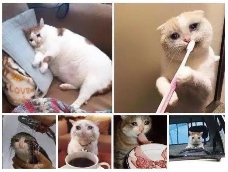 Bangun pagi banget karena semalem ketiduran, LI belum selesai padahal SGD 6.45.. Lupa ngumpulin ke dosen 😢