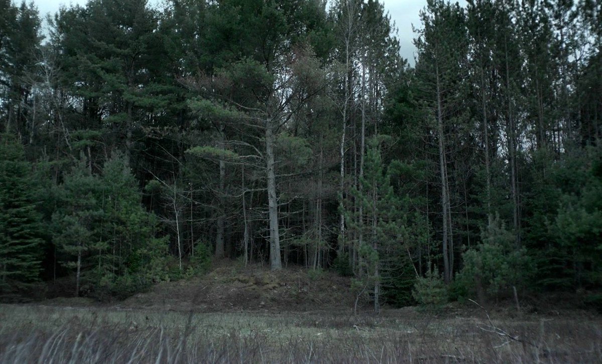 apostIIe's tweet image. the witch (2015)