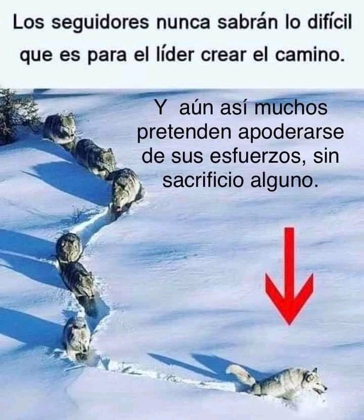 Knosvillee's tweet photo. La imagen lo dice todo 🚀🤝
Solo queda dar las gracias 🙏 https://t.co/jbx3HSfzgM