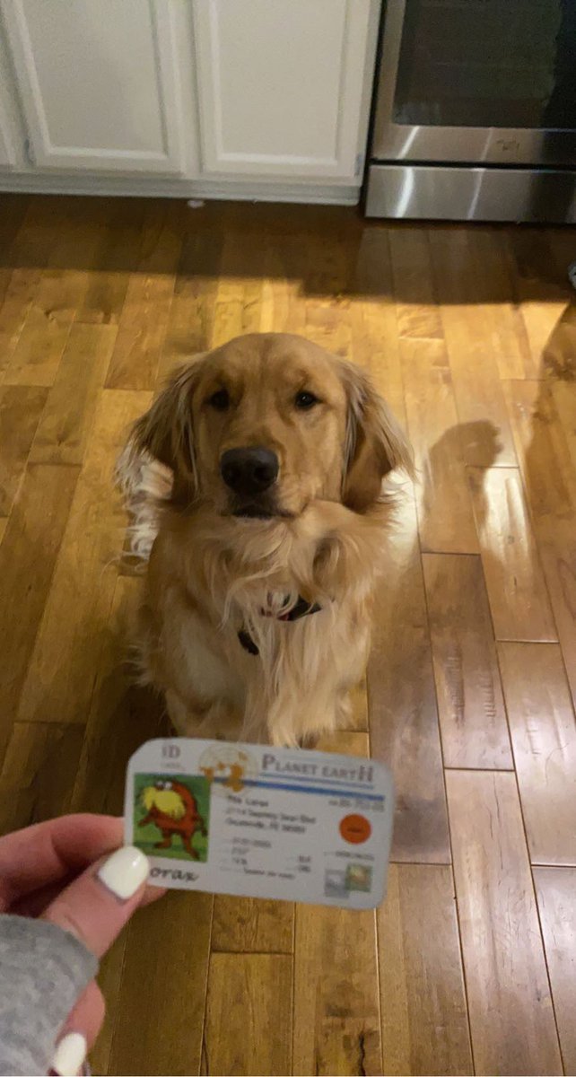 This is my dog Duke!! He is a K-Strategist because his liter had a small amount of off spring and needed parental care until he was 8 weeks old!!😊 #apesecology <a href="/franklinlorax/">APES Project Lorax</a>