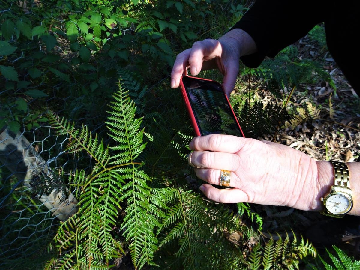 Learning By Doing tweet media