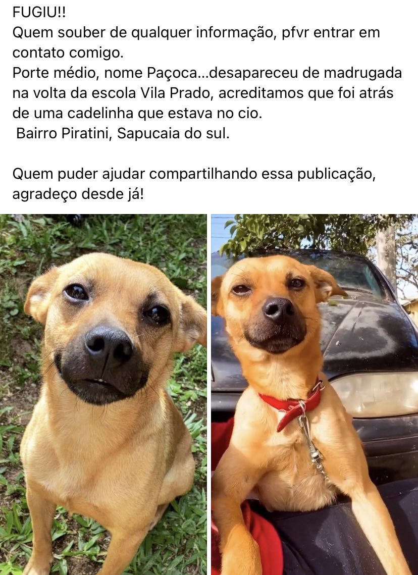 naeforeveralone's tweet photo. QUEM SOUBER DE QUALQUER INFORMAÇÃO 
PFVR ME CHAMAR https://t.co/WtwN9csyX1
