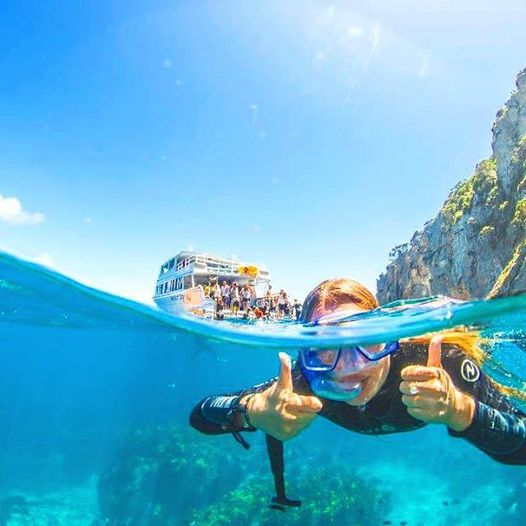 BPKGuide's tweet photo. If you're after a splash or even better a DIVE!, head to Tutukaka!
βπ· Magnificent shot by the wonderful Dive! Tutukaka - @divetutukaka
#NewZealand #NZtravel #NZPocketGuide https://t.co/UdxPlFFrIZ