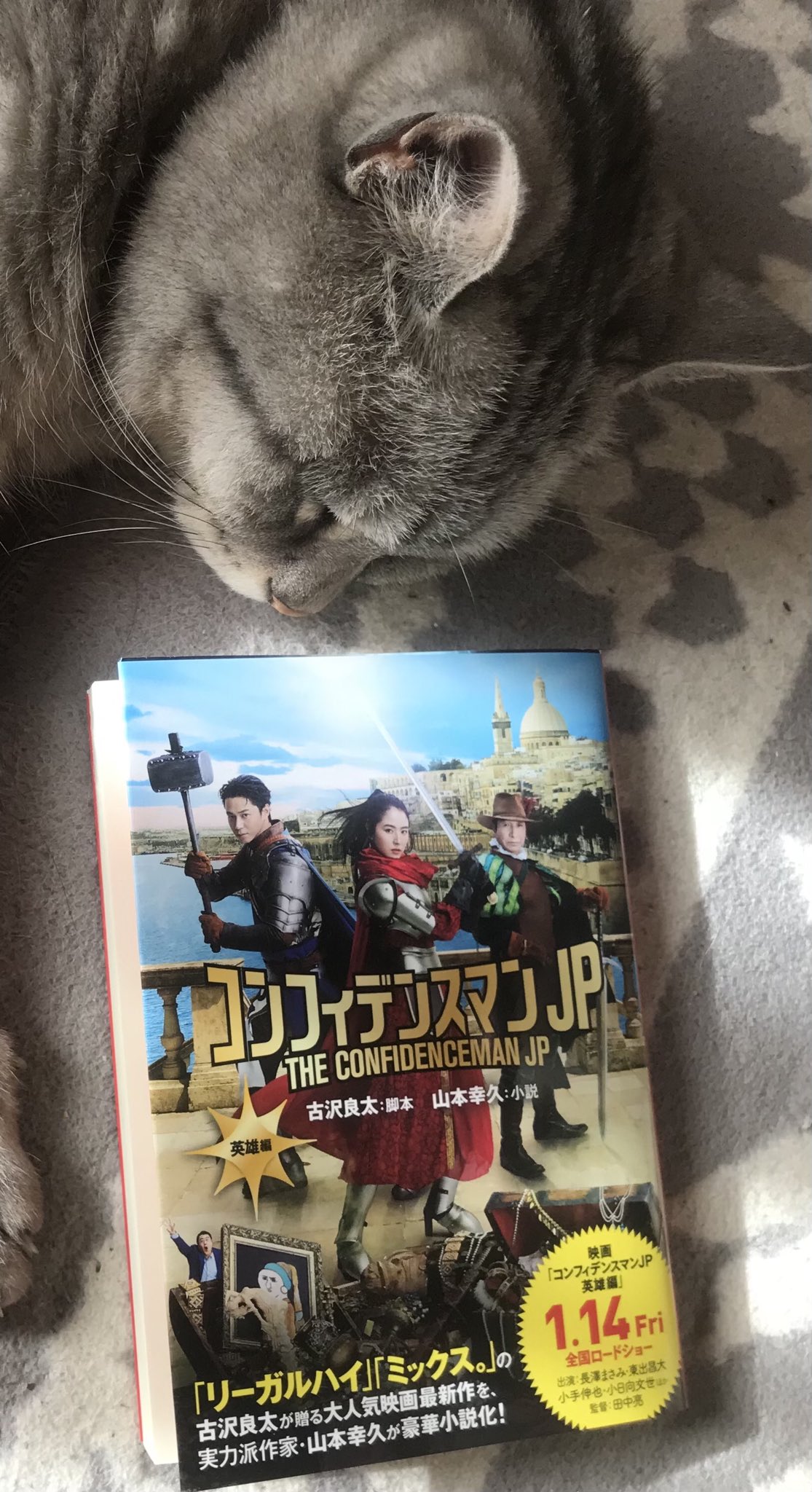 توییتر 山本幸久 در توییتر コンフィデンスマンjp 英雄編 映画公開に先駆け 小説版が12月23日発売です よろしくお願いします コンフィデンスマンjp 英雄編 T Co Mbovg1p61a