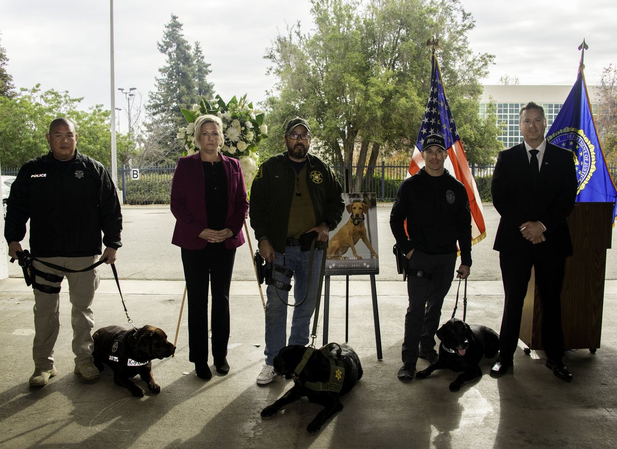 FBILosAngeles's tweet photo. FBI employees gathered to remember Ginger, the FBI's digital K-9 who recently passed away. We will miss her mad detection skills as she searched for electronic evidence &amp; we'll miss her special personality. Police K-9 partners @FontanaPD @LASDHQ @RivCoDA also paid respects. #EOW https://t.co/paSZ9KfuL3