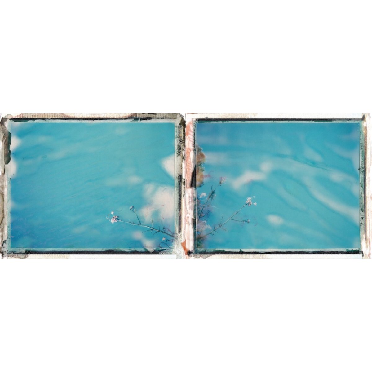 benprks's tweet image. #polaroid110 #polaroid #polaroid669