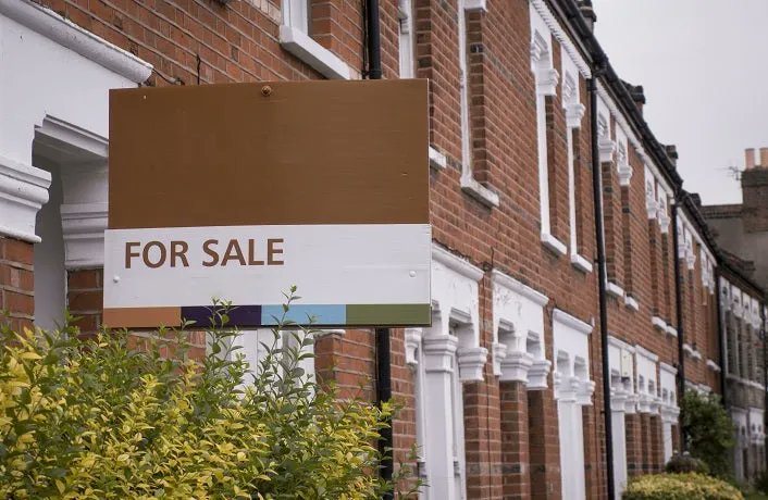 Rootbind tweet media