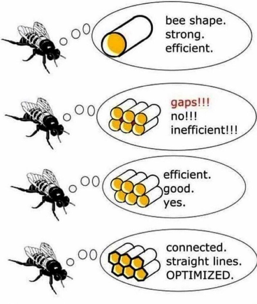OscarNazamoto's tweet photo. 🐝BE THE BEE🐝 

     🍯 $LINK 🍯 https://t.co/a3s1Gth4Kg