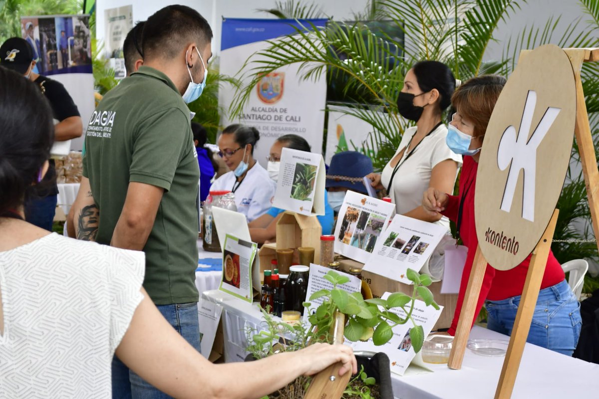 rodrisalazarco's tweet photo. Creemos en una ciudad ambiental con soberanía y seguridad alimentaria, por eso hoy @AlcaldiaDeCali y sociedad civil realizaron el encuentro de Huertas por la Vida para un #CaliDistritoVerde Felicitaciones https://t.co/jE2K1Smi5p