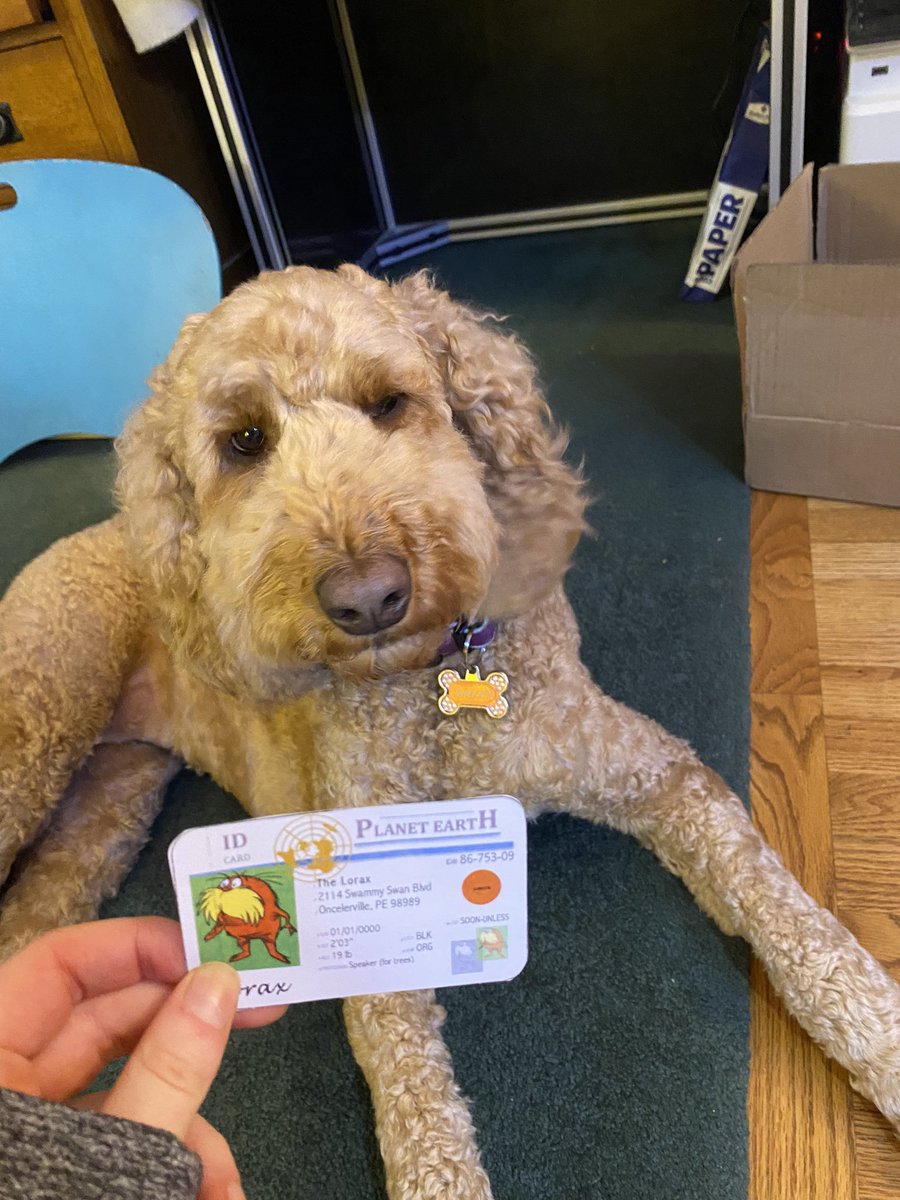 abimasloroff's tweet photo. this is bailey🐶bailey is a k-strategist. she produces fewer offspring, those few babies receive high parental care and protection. these few babies then have a better chance of survival during their lifetime!! #apeseco @franklinlorax https://t.co/VRASAseRg0