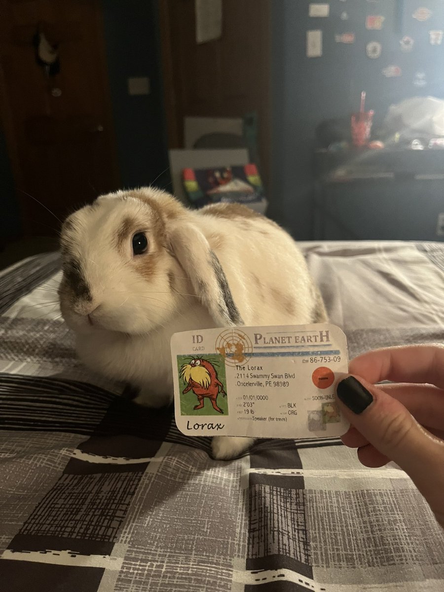 Gene is a r-strategist because her species produces a large amount of babies in a short period of time. In the wild they live in unstable environments so there’s a small chance of their offspring living which is why they produce many offspring. #apesecology <a href="/franklinlorax/">APES Project Lorax</a>