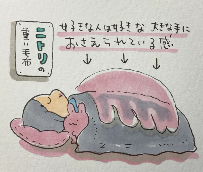 最近毛布が一枚欲しくて、せっかくだからと前々から気になっていたニトリの重い毛布を買いました。まだ買って数日なのですがズシッとくるというよりは体にかけて横になると大きな手に優しく押さえられている感じが私は中々好きです。 