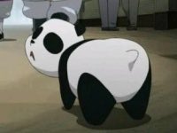 animalsofOP's tweet image. now i know this is animals of #ONEPIECE, but can we talk about how cute shao may is for a sec?! #FullmetalAlchemistBrotherhood