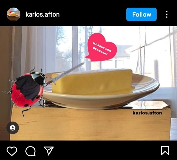 CloakBrandCult's tweet photo. Post by karlos.afton on Instagram
#savebernard https://t.co/ATDmZhBLuK