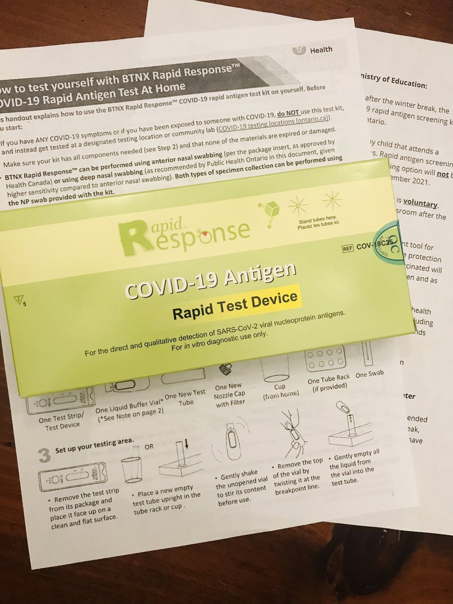 Students <a href="/ddwhdsb/">Dr. David R. Williams Public School</a> brought home their Rapid Antigen Test kits today with detailed instructions.  Each kit contains 5 tests.