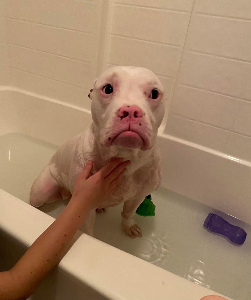 This is Zena. She definitely mentioned she did not want a bath. You must’ve not heard her. 13/10 please listen more closely