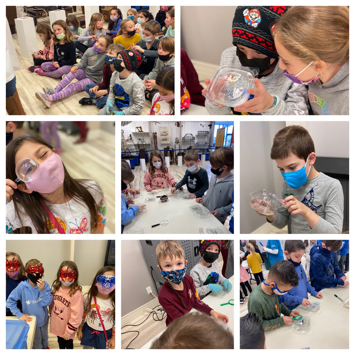 mrscagliano's tweet photo. 2nd grade had a blast going on an actual field trip to the @lisciencecenter for some hands on learning about insects 🐞 🐜 !! They even got to create and take home a cricket 🦗 habitat!! @EMorichesES @EastMorichesSD https://t.co/a4w5gPoDte