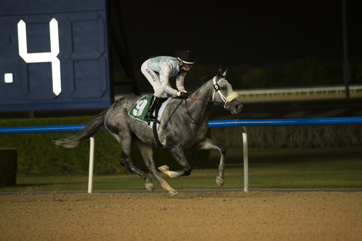 Happy Birthday to jockey <a href="/GeorgeBuckell/">George Buckell</a>. He has one chance of riding a birthday winner on tonight’s card - on Almugir in the final race. 

#racingdubai 🏇