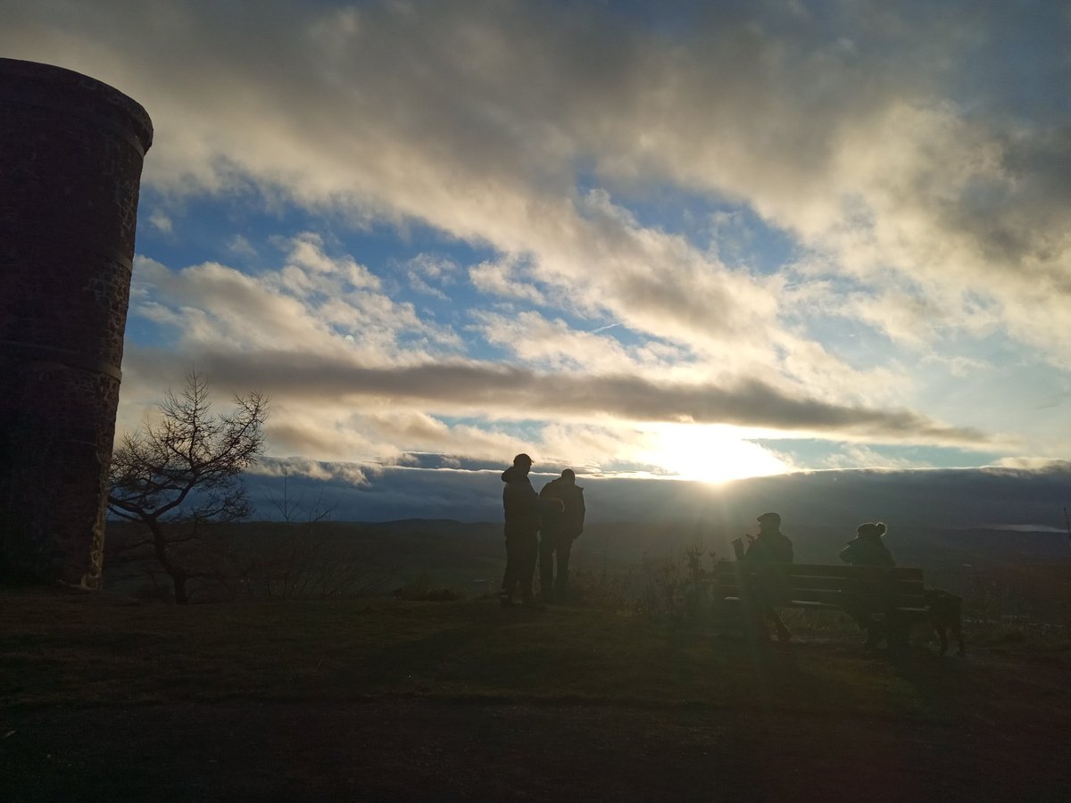 Wanzhen Liu tweet media