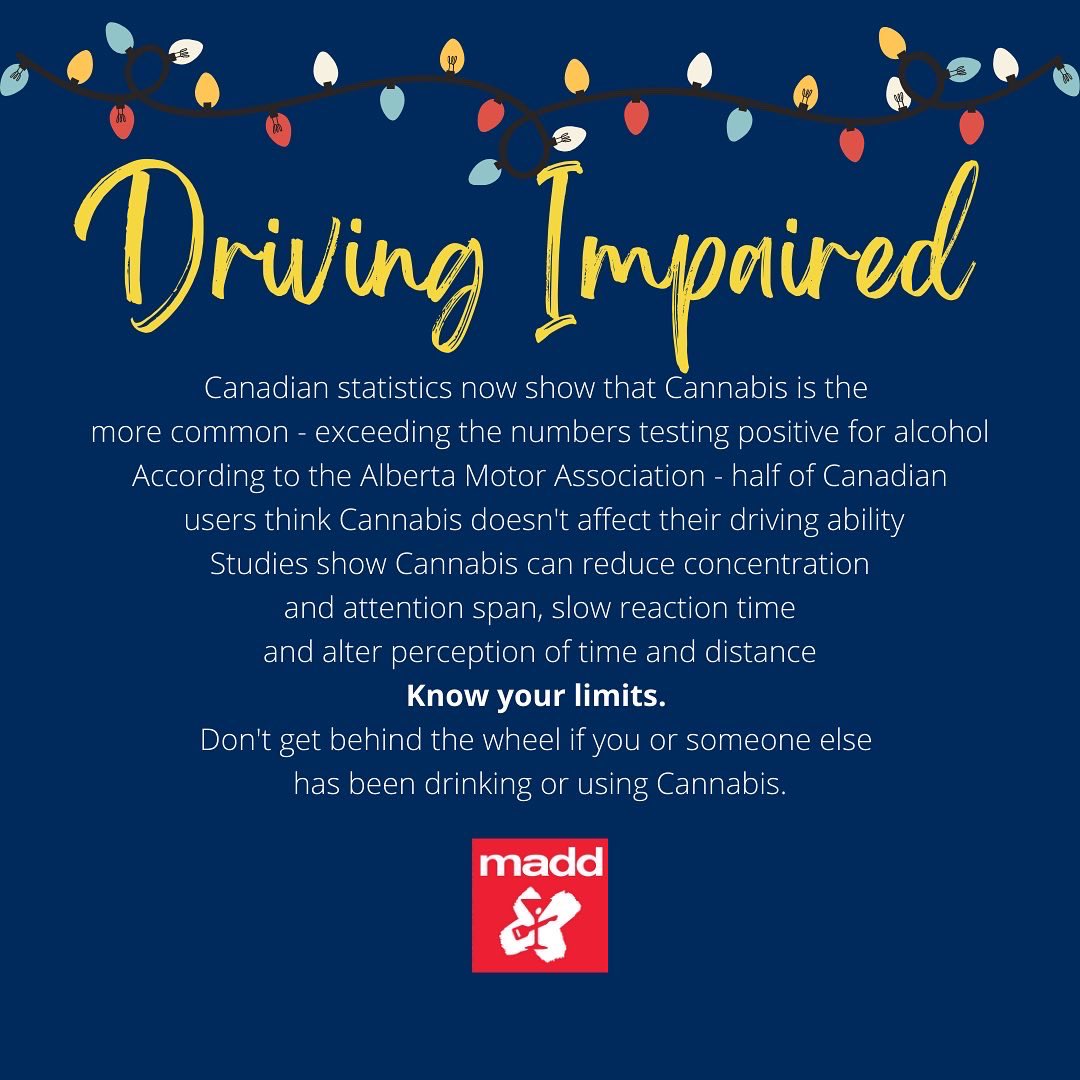 UofTSafety's tweet photo. On the 3rd Day of Safety, Campus Safety gave to me…Impaired Driving Awareness!

The flashing lights you see in your rear view won’t be from holiday decorations if you choose to get behind the wheel while impaired by drugs or alcohol. 

Celebrate responsibly and plan ahead. https://t.co/p0a3ipQBwy