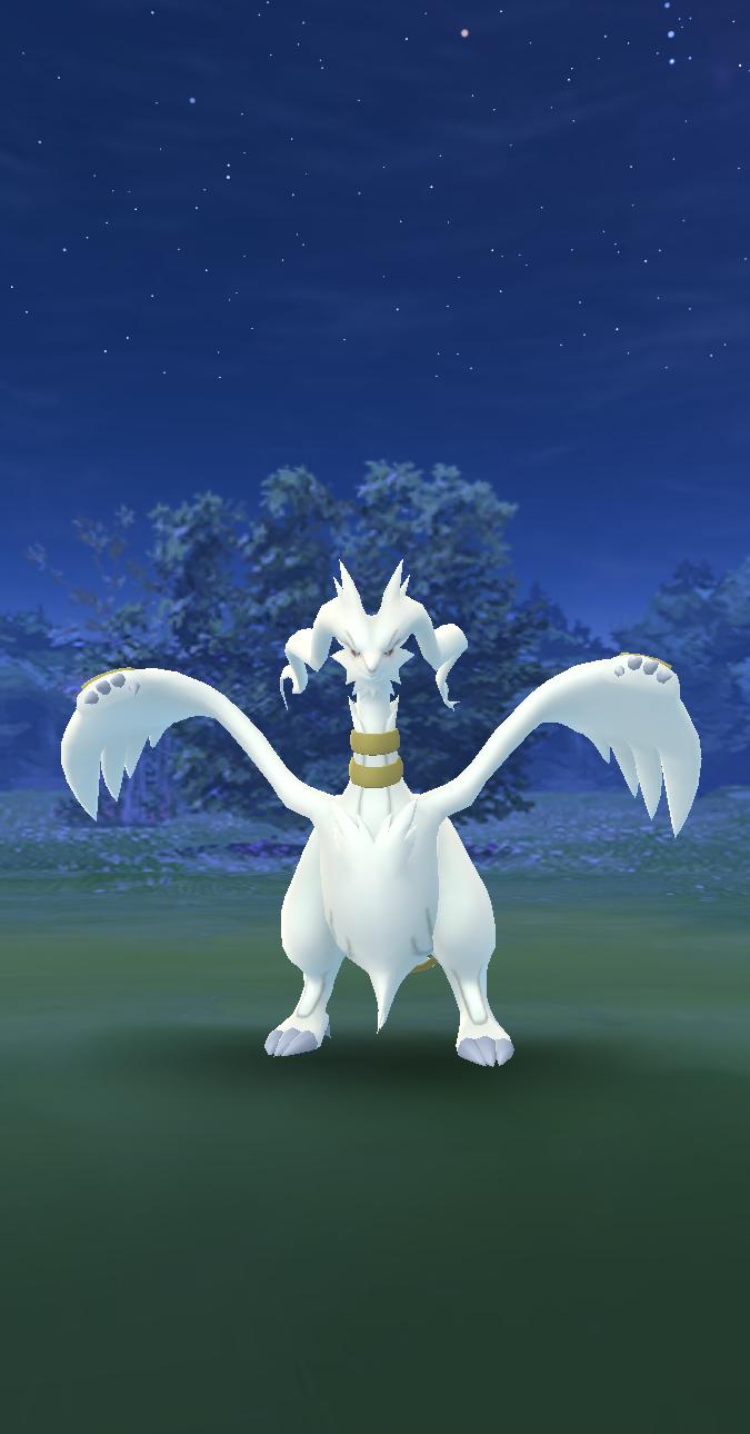 手向日和 今日の色違い ヘリテージシーズン 昨夜やっと金の輪の レシラム ゲット B これぞ光輪の差す白陽 ポケモン 色違いレシラム 色違いポケモン ポケモンgo Pokemongo 好きなようにgoしよう T Co Pzhhyiwjmj Twitter