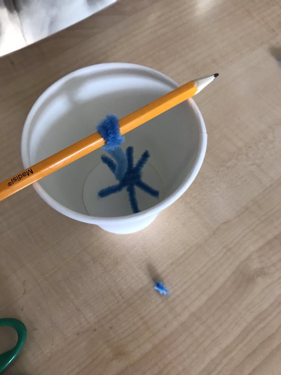 Ms_Mski's tweet photo. Today was STEAM DAY! 4th grade investigated the chemical reaction of putting a pipe cleaner into a mixture of hot water and borax! Results were crystal snowflakes! They also constructed candy cane towers for our mascot! #GOODMESS #STEAMDAYBESTDAY #SGES #EAGLESSTEAM #fourthgrade https://t.co/J4QhmnZs9Z