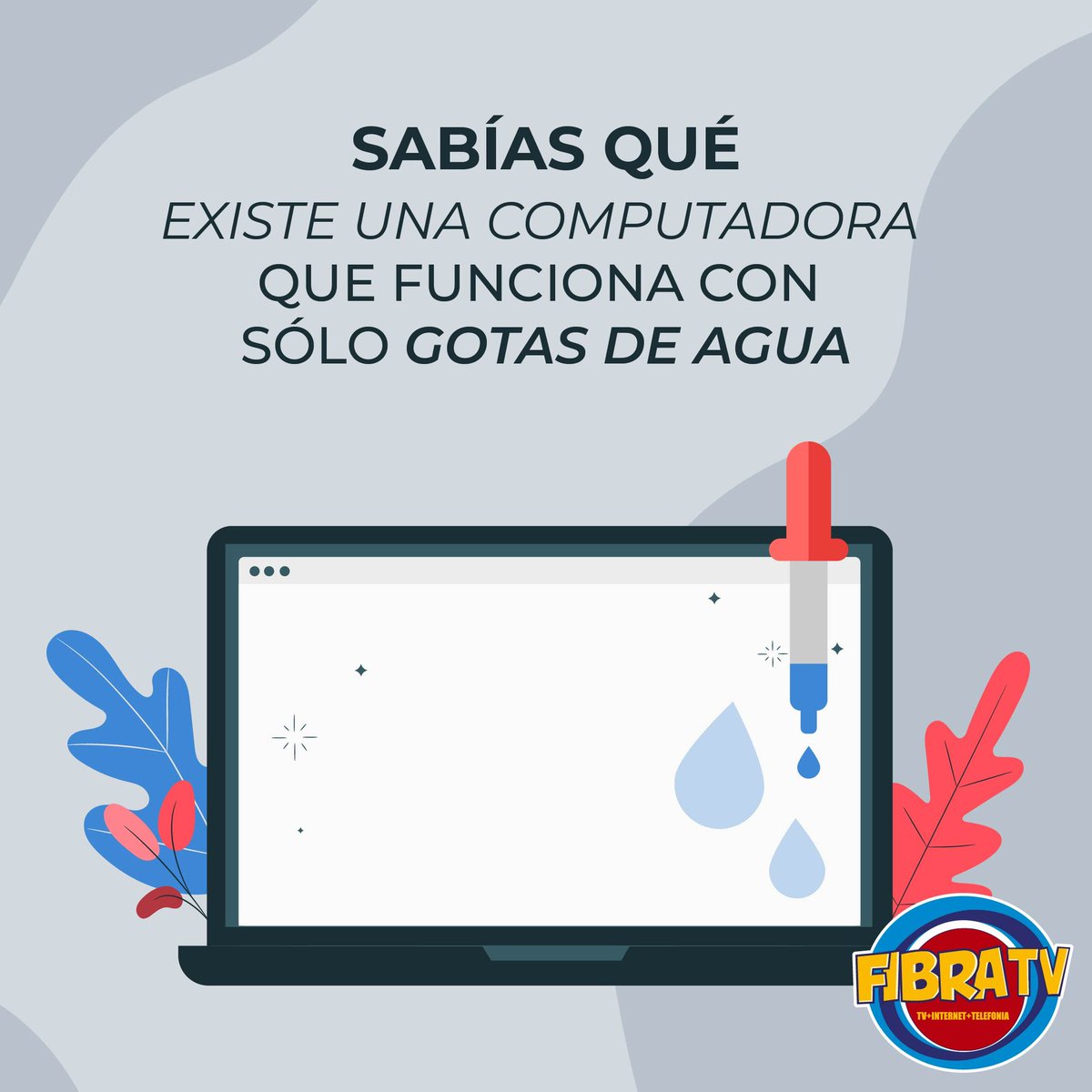 fibratv's tweet photo. 👨🏼‍💻No puede usarse con software convencional 💻 Su velocidad es inferior a la de una 💻 electrónica 🤨 Pero la computadora impulsada con gotas de agua en movimiento puede 👉 llevar a cabo las mismas operaciones 😯

#FIBRATV #Internet #EmpresaSANJUANENSE #Computadora #DatoCurioso https://t.co/Rh7wGEwJhb