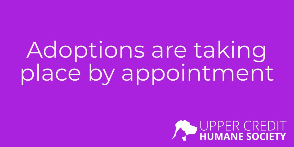 Adoptions are taking place by appointment only. Please contact the shelter at 519-833-2287 or info@uppercredit.com. You will be asked to complete a questionnaire by email before an appointment can be scheduled. View adoptable animals on our website. bit.ly/29Jy8u5 #UCHS