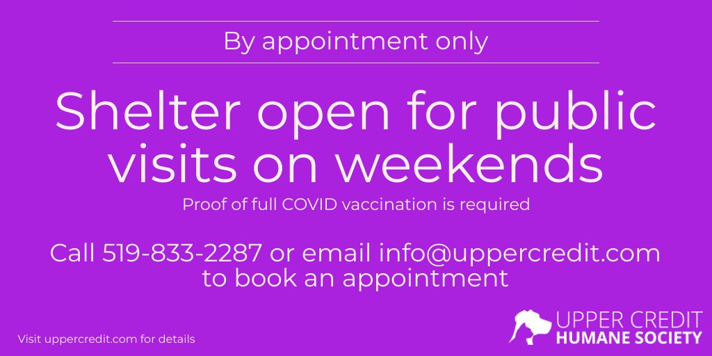 The shelter is open for public visits on weekends. Visits are by appointment only and proof of full vaccination is required. Please book your visit in advance - no later than the Friday before. Visit our website for more details: bit.ly/3goCwlw