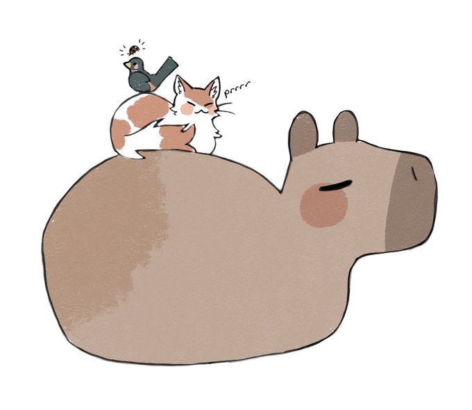 Капибара картинки мультяшные