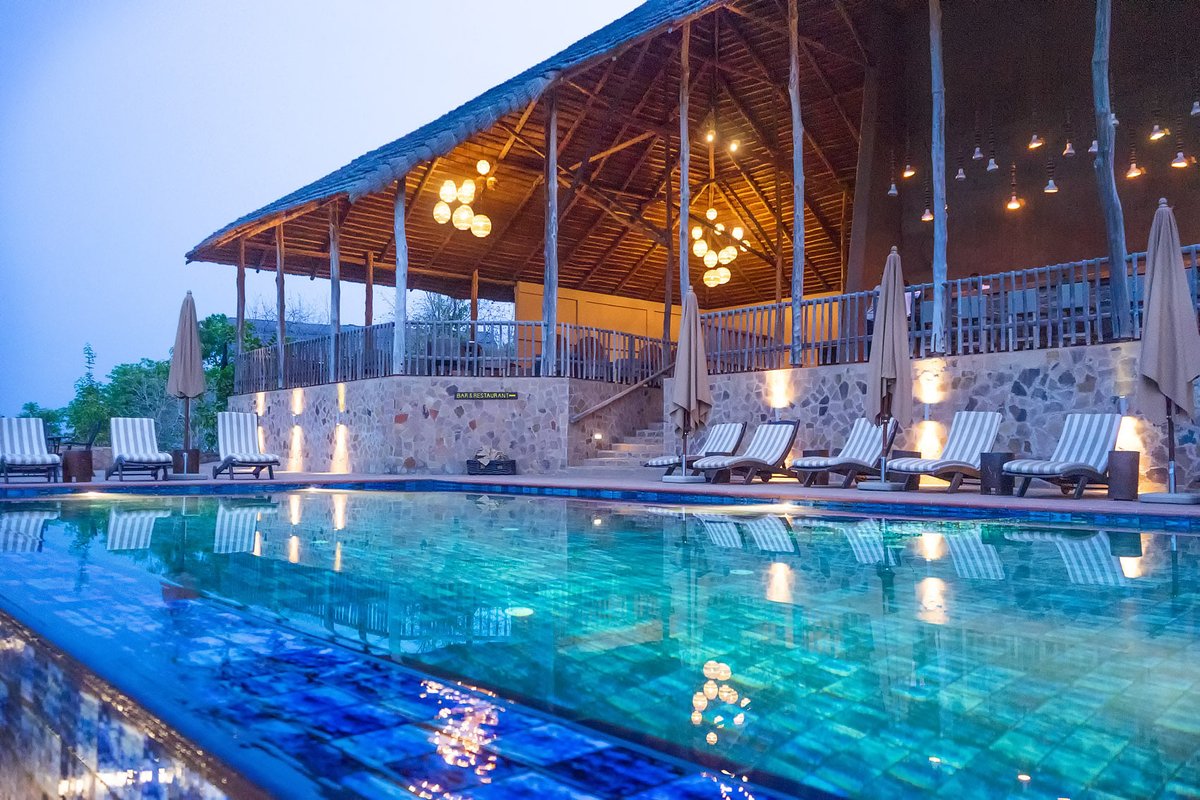 archigenieafrik's tweet photo. safari lodge dans le parc national de la Mole, Ghana
c'est le premier safari haut de gamme en Afrique de l'Ouest. Sa conception a été conceptualisée dans le but de contrer la disparition des techniques de construction locales. Il est composé de 25 chalets https://t.co/lgHBltwbwO