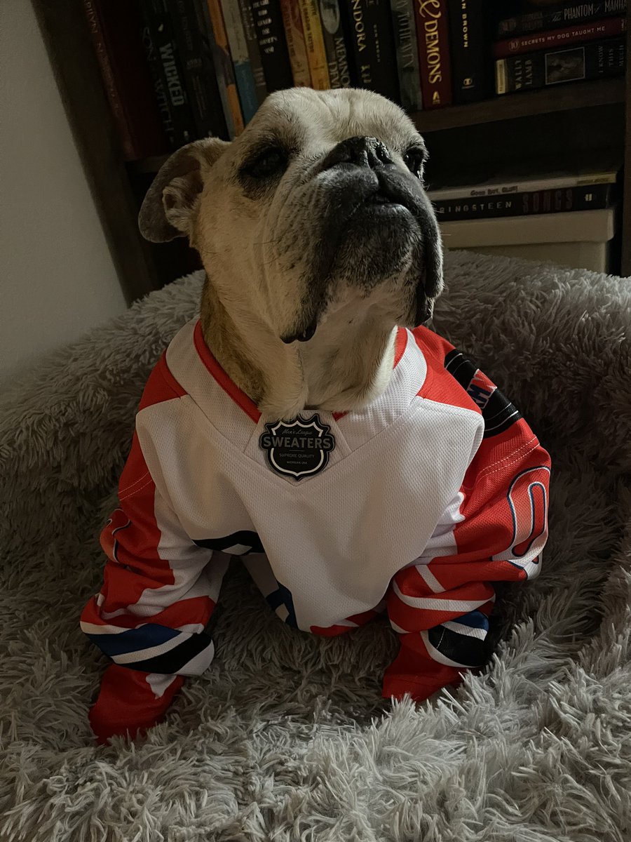 OvietheBulldog's tweet photo. Not saying Ovi SCOAR when I tried on my @russianmachine jersey but the facts cannot be refuted #RMNB #RussianMachineNeverBreaks https://t.co/vVZaiCc34f