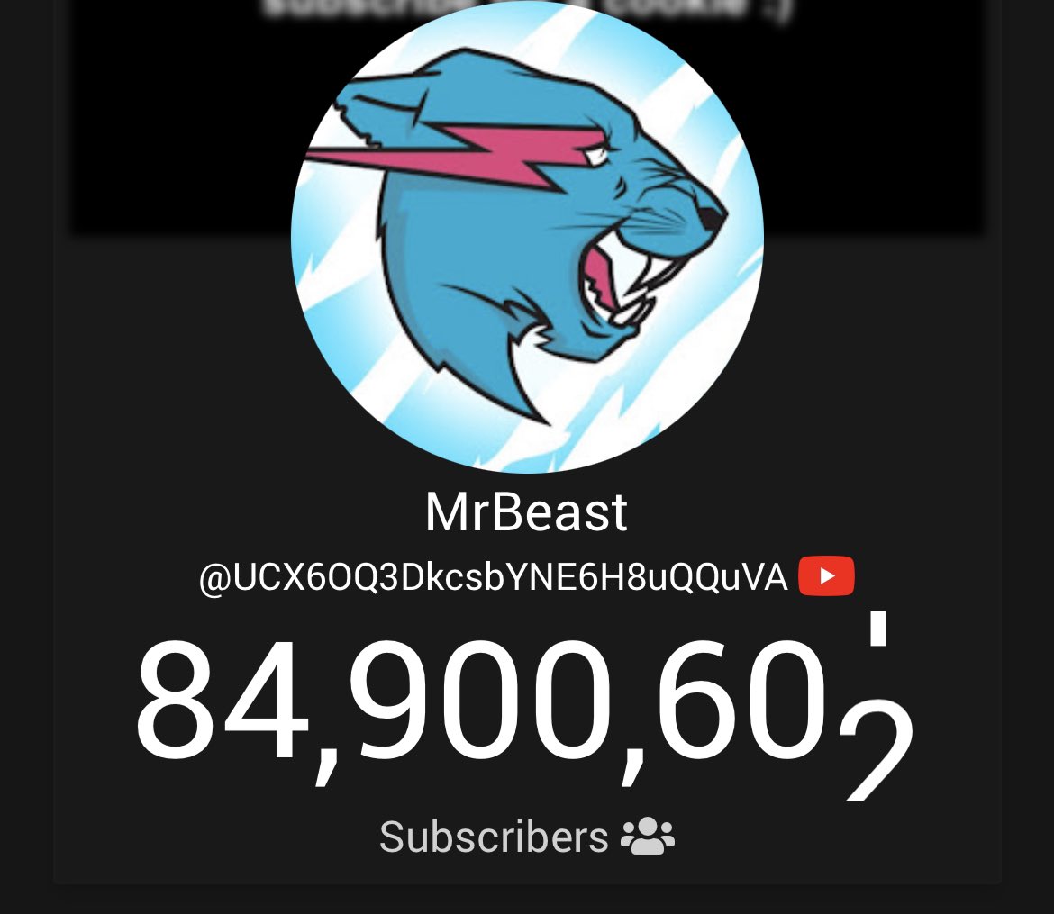 mr_beast.fans on X: He's now at 13 million 800,000 followers on
