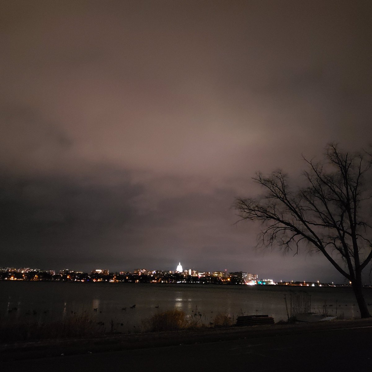 areallybiglife's tweet image. Something weird is definitely creeping this way.