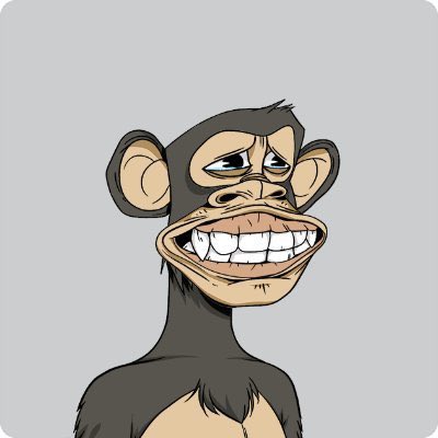 FightClubHostel's tweet photo. We hate to see you go, but love to watch you leave. You’ve brought us many joys throughout the past few months. You’ve always reminded us what truly matters, and to be grateful in the tough times. We miss u already. Congrats to the new buyer #BAYC #apefollowape congrats 2 buyer https://t.co/OwCquad9yu