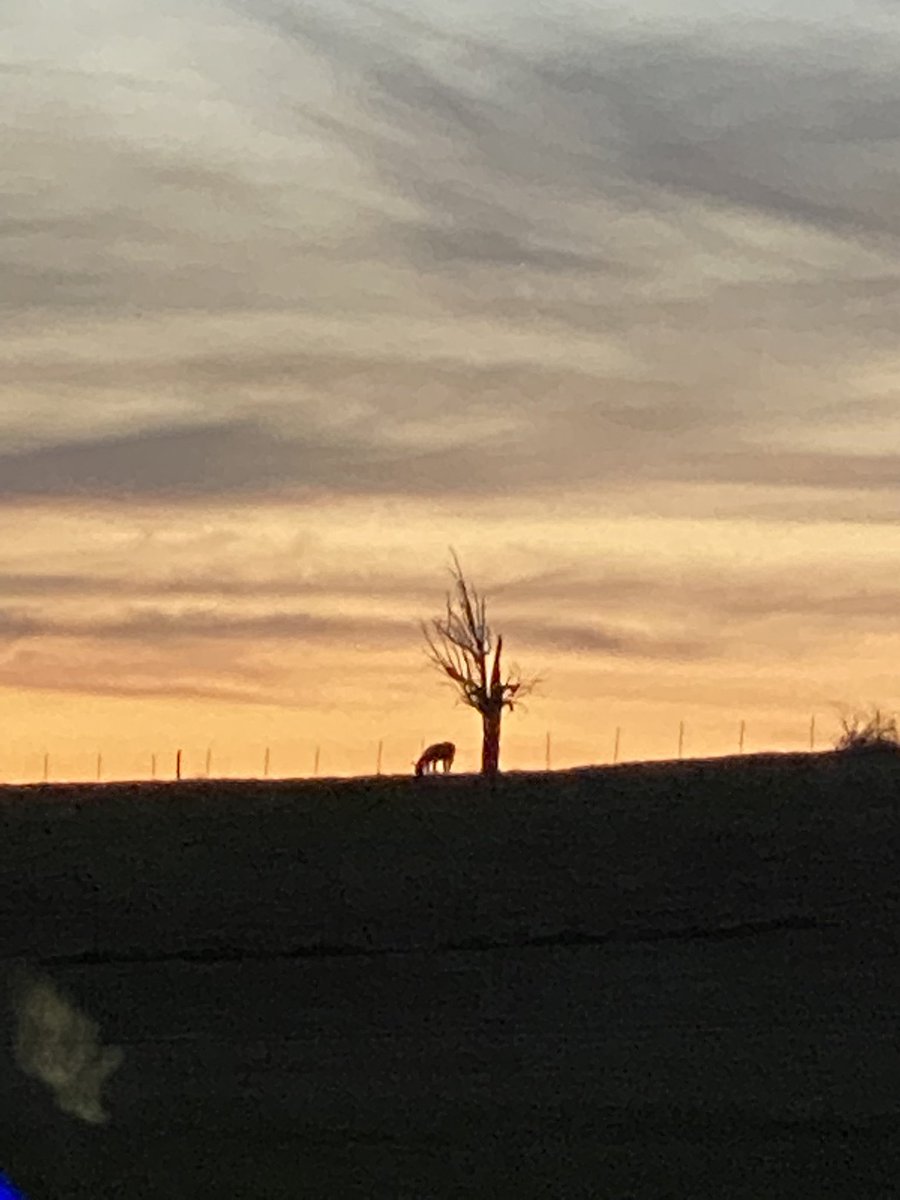 Tonight’s sunset in Blount County <a href="/WBIRWeather/">WBIR Weather</a>