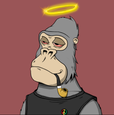 Chilled Kongs tweet media