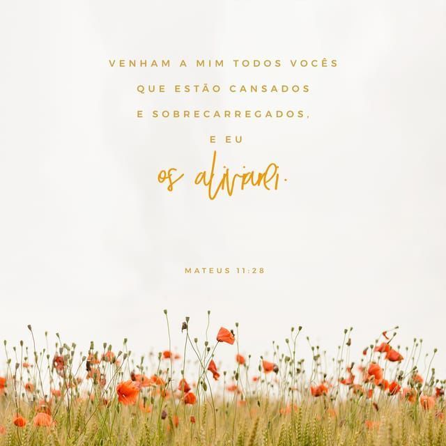 Paz e Vida (@ccpazevida) on Twitter photo 