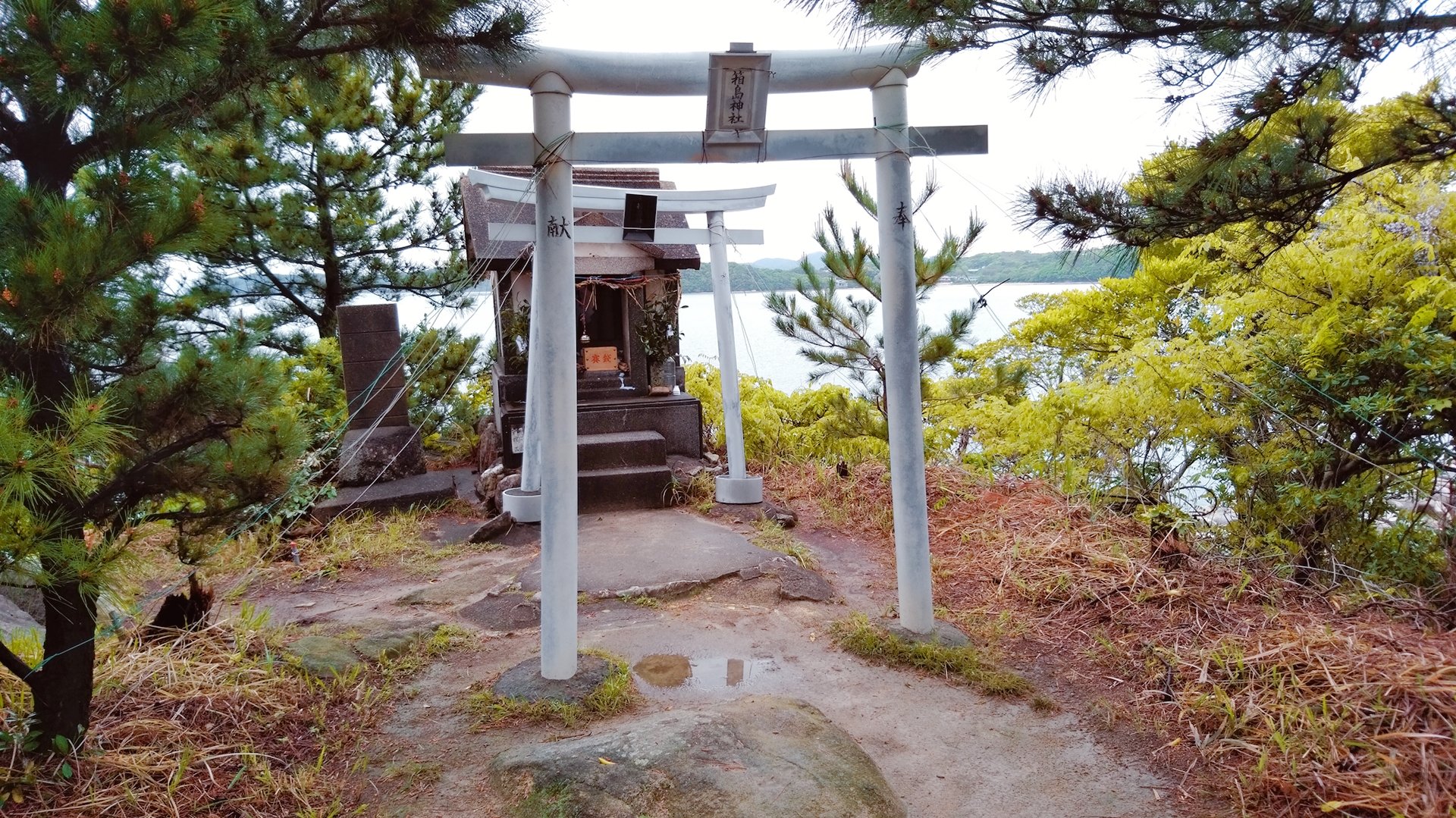 城猫 箱島神社 海の上に鎮座されてる神社ですが伺った時は残念ながら干潮時でした 無人神社ですが御朱印は 鎮懐石八幡宮 で頂けます 神社 箱島神社 福岡県糸島市 T Co Vyxrz1fzeb Twitter